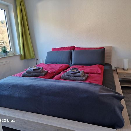 Ferienwohnung Vier Pfoten Willingen  Eksteriør billede