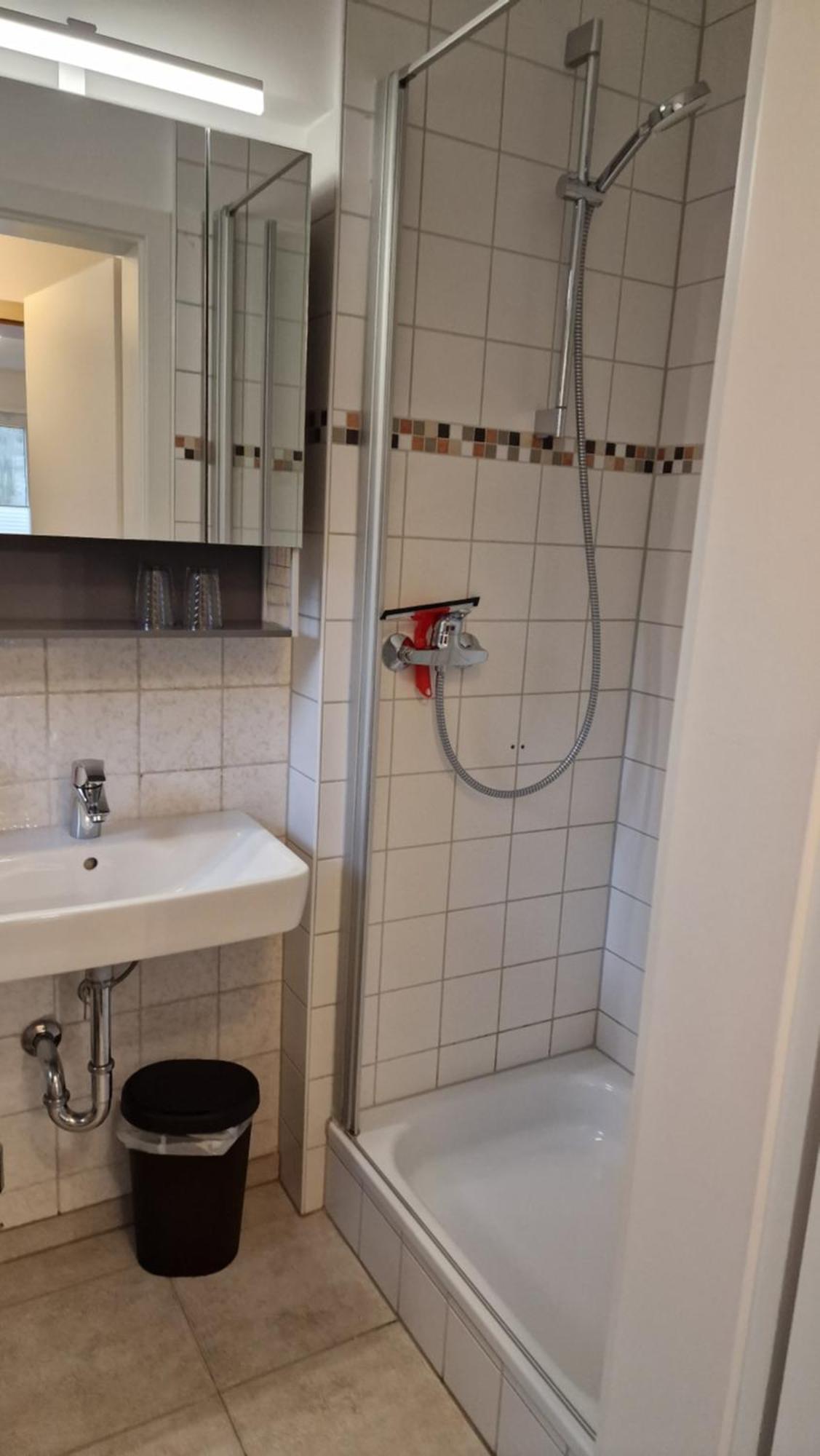 Ferienwohnung Vier Pfoten Willingen  Eksteriør billede