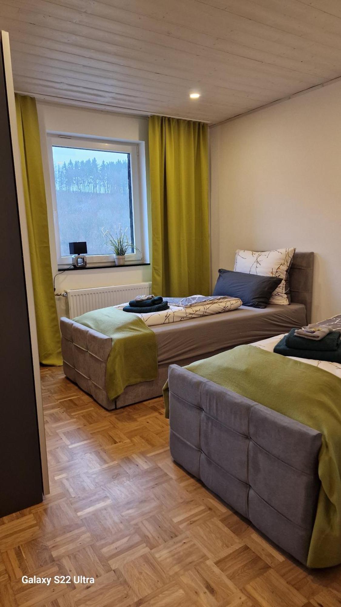 Ferienwohnung Vier Pfoten Willingen  Eksteriør billede