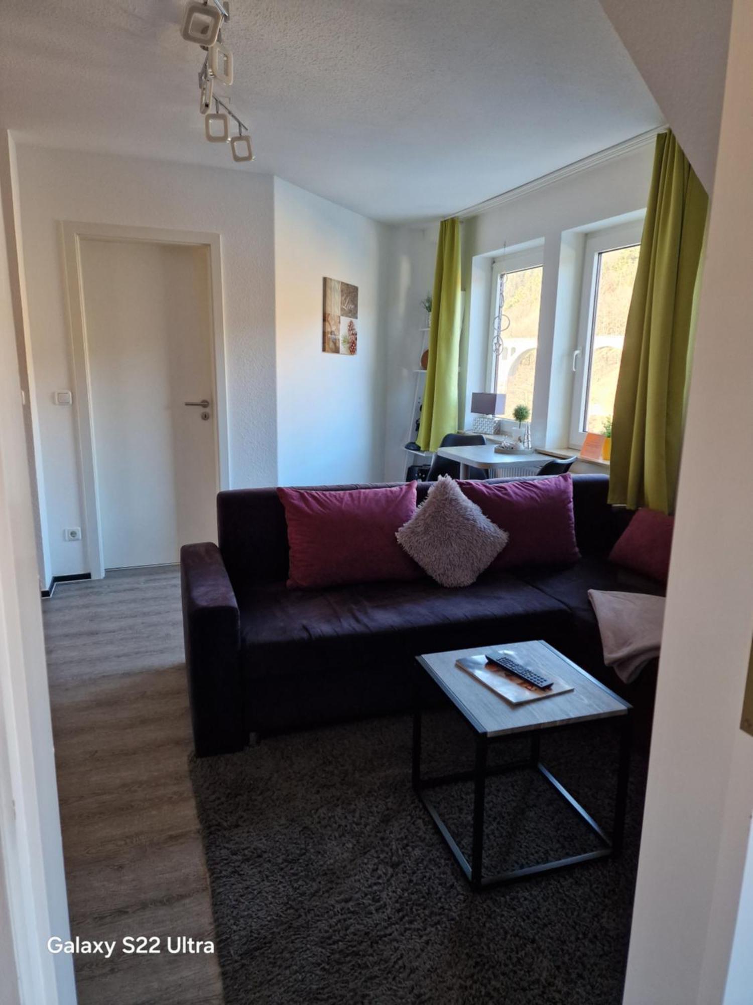 Ferienwohnung Vier Pfoten Willingen  Eksteriør billede