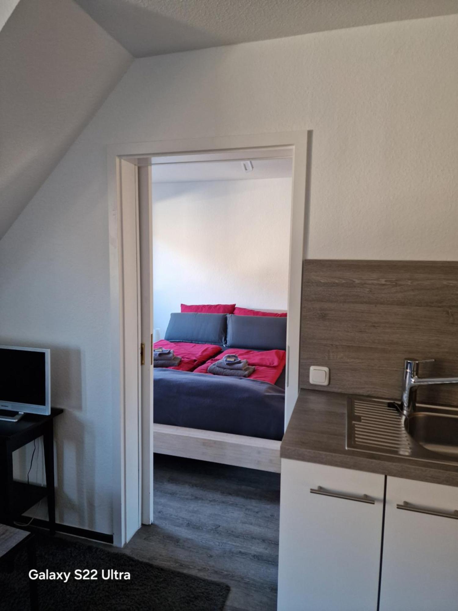 Ferienwohnung Vier Pfoten Willingen  Eksteriør billede