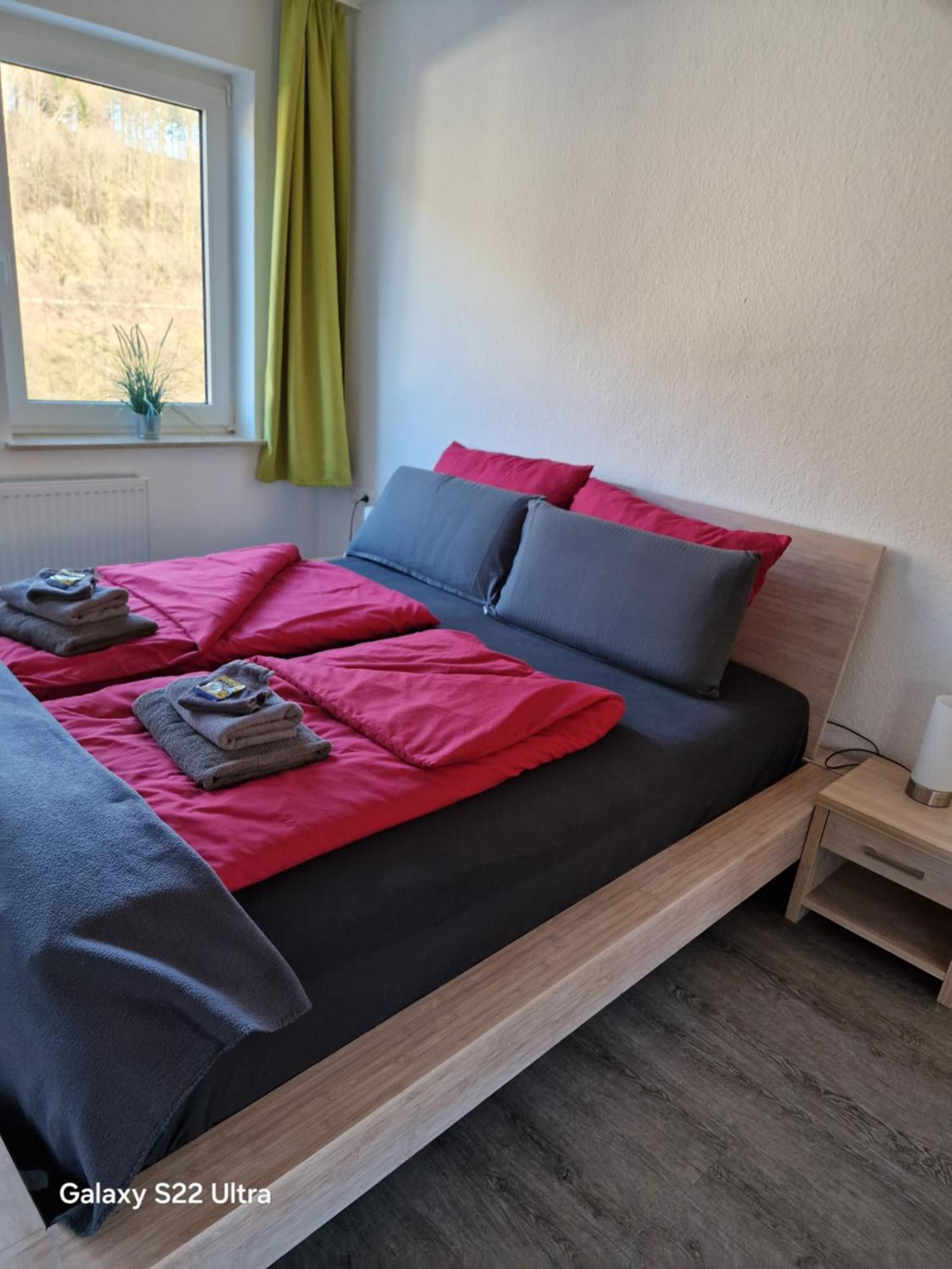 Ferienwohnung Vier Pfoten Willingen  Eksteriør billede
