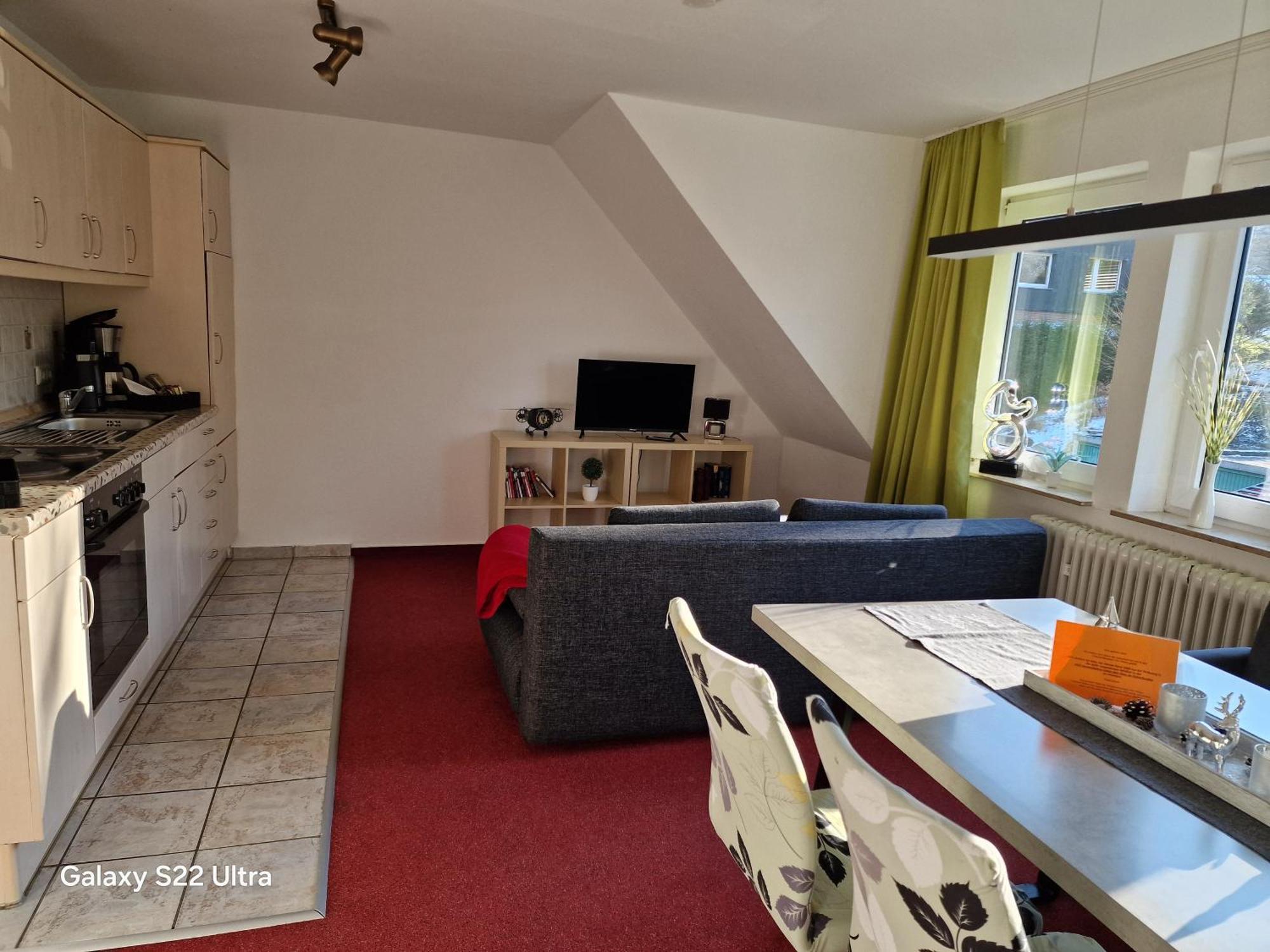 Ferienwohnung Vier Pfoten Willingen  Eksteriør billede
