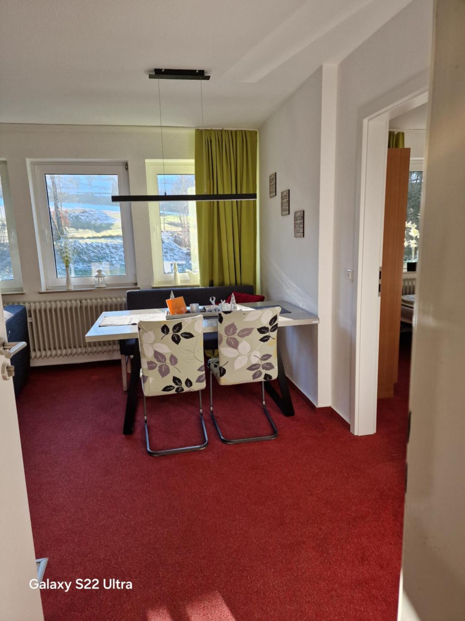 Ferienwohnung Vier Pfoten Willingen  Eksteriør billede